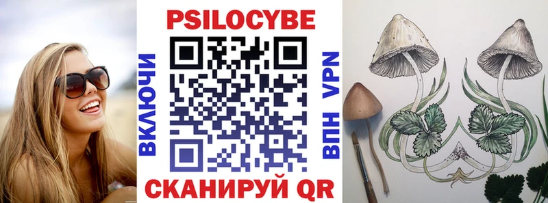 Галлюциногенные грибы Psilocybe  Тулун 