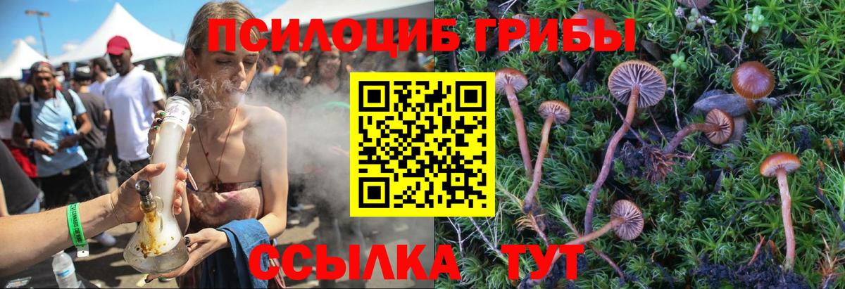 Псилоцибиновые грибы Psilocybine cubensis  Вход с VPN  Тулун 