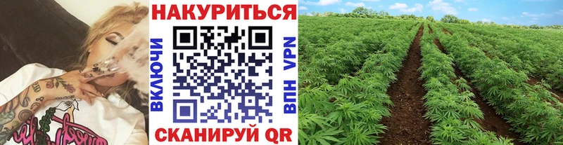 мега как зайти  Тулун  Канабис ГИДРОПОН 